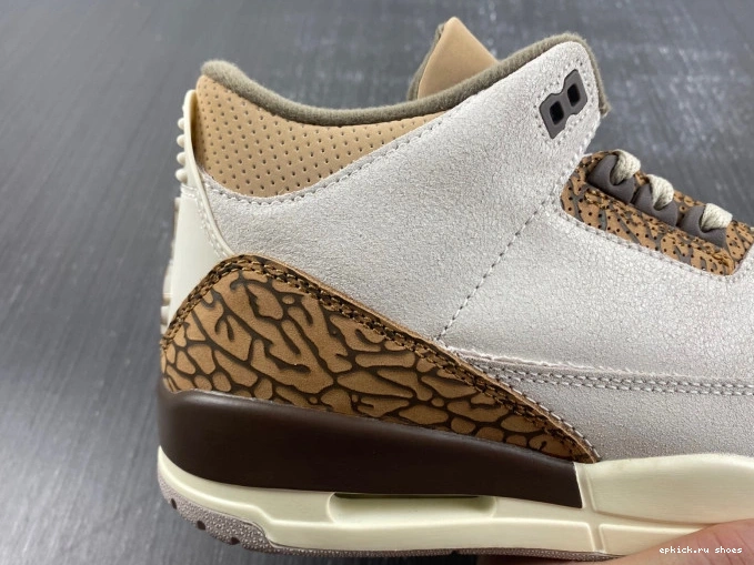 Rep CT8532-102 Palomino Jordan Air 3 0821